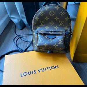 NV Louis Vuitton mini Palm Springs backpack 2020
